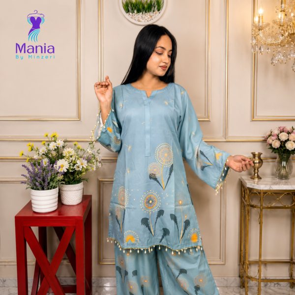 Luxe Spectrum // Soft Thai Silk Fabric // Co Ord’s 2PCS Set