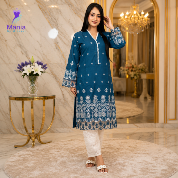 Boho Blend // Chikenkari Work Embroidery Work Cotton Fabric // Co-Ord’s 2PCS Set